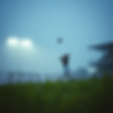 645 다시보기: 베팅 전략과 통계의 통찰 Introduction