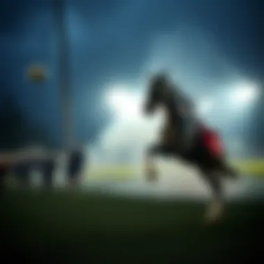 Magnificent 국가대표 축구 중계 채널 탐구
