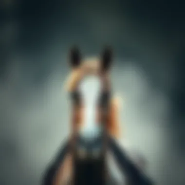 Magnificent 호게임: 전략과 통계의 세계 Magnificent 호게임: 전략과 통계의 세계