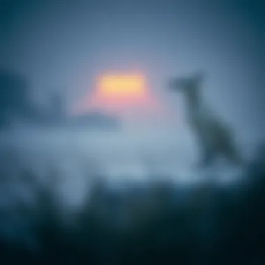 Magnificent 모바일 베팅의 미래와 전략