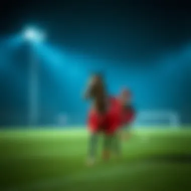 Magnificent 로또 번호 추출기의 이해와 활용 Magnificent 로또 번호 추출기의 이해와 활용