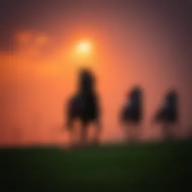 Magnificent 로또 추첨기 및 베팅 전략: 통찰과 분석 Magnificent 로또 추첨기 및 베팅 전략: 통찰과 분석