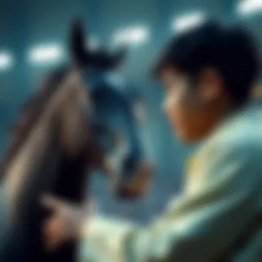 Magnificent 스포츠 중계사이트의 세계 Magnificent 스포츠 중계사이트의 세계