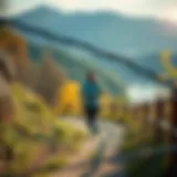 Exploring Gyeonggi-do's Scenic Running Trails Scenic running trails in Gyeonggi-do showcasing natural beauty