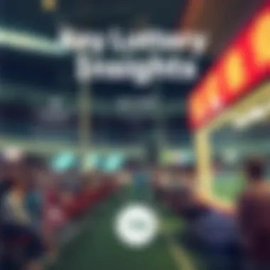 Infographic summarizing key lottery insights