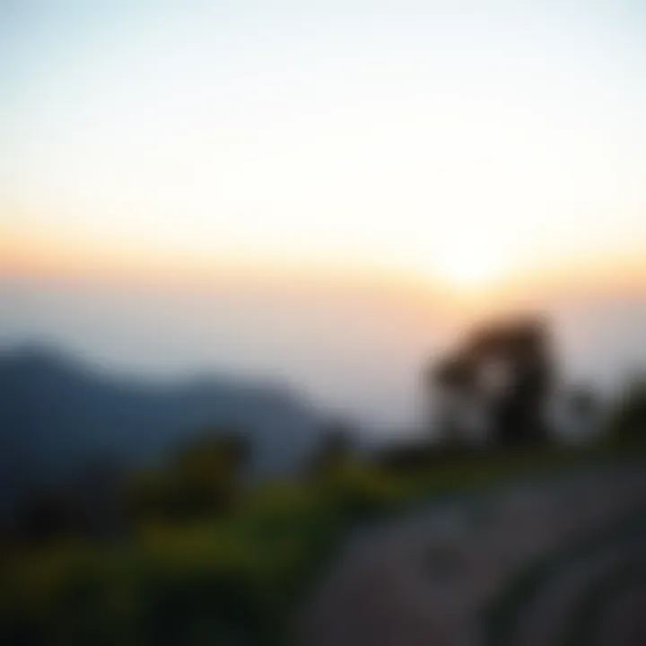 Finding Peace and Stability Post-Lotto Win A serene landscape symbolizing peace and stability