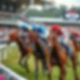 Insightful analysis of horse racing data trends