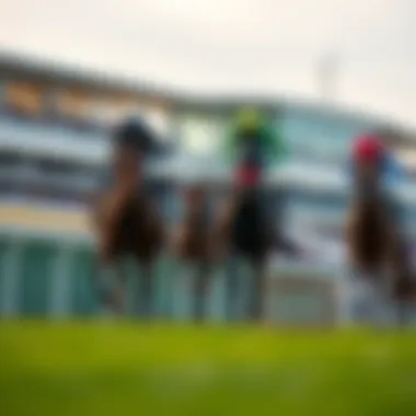 Comprehensive overview of racing insights