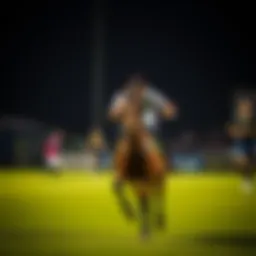 로또 1096에 관한 심층 분석 Introduction