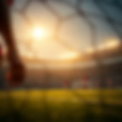 승무패: 스포츠 베팅의 기본 이해와 전략 Introduction
