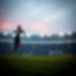 토토플레이에 대한 심층 탐구 Introduction